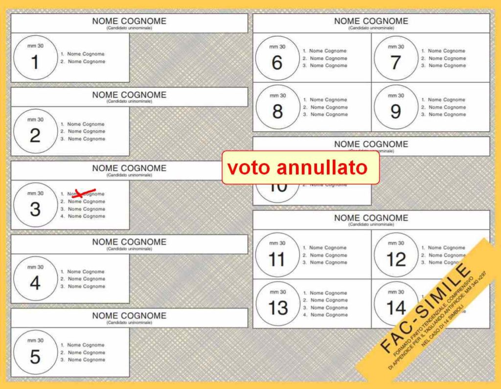 elezioni politiche - voto annullato